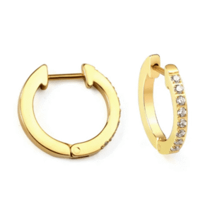 Stone Loop Earrings
